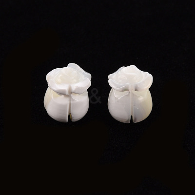 Natural Trochid Shell/Trochus Shell Beads SSHEL-T014-32-1