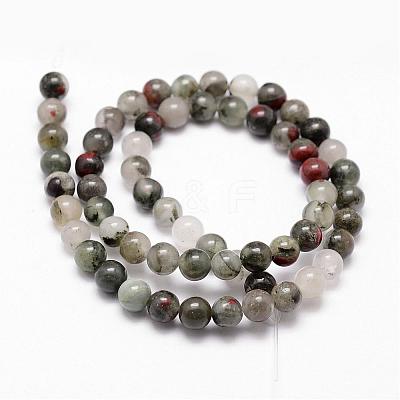 Natural African Bloodstone Beads Strands G-D840-66-10mm-1