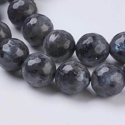 Natural Larvikite Beads Strands G-G542-10mm-27-1