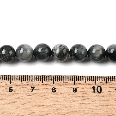 Natural Eagle Eye Stone Beads Strands G-G344-A05-8mm-1