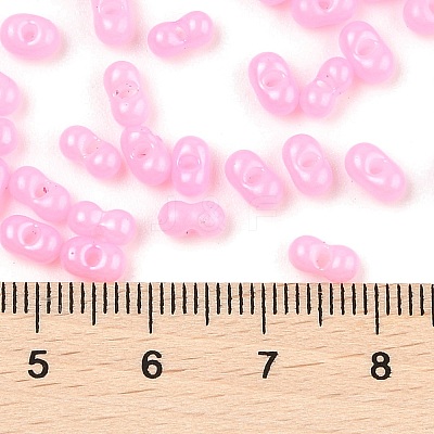 Baking Paint Glass Seed Beads SEED-L011-09A-27-1