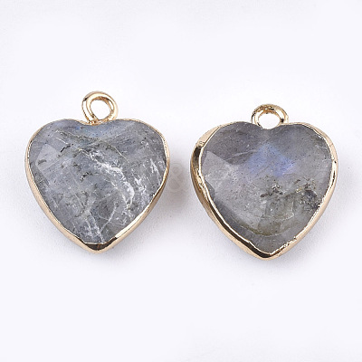 Electroplate Natural Labradorite Pendants X-G-T112-03A-1