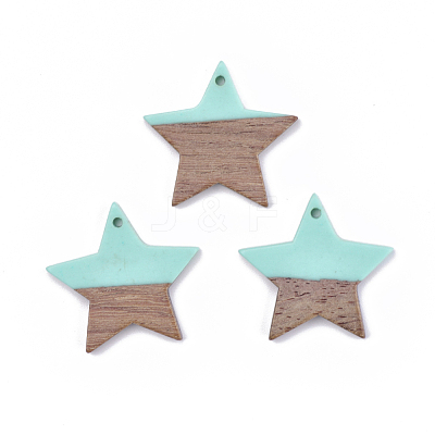 Resin & Wood Pendants X-RESI-T023-23C-1