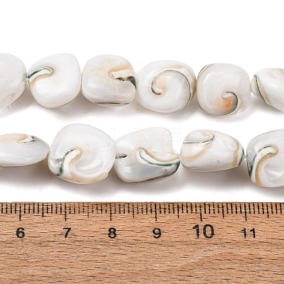Natural Seashell Shell Beads Strands SH-CBAFA8D-01-1