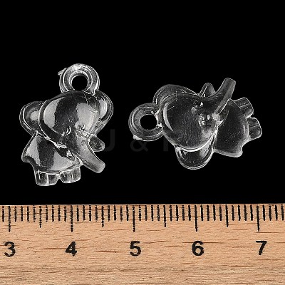 Transparent Acrylic Pendants TACR-G048-31-1