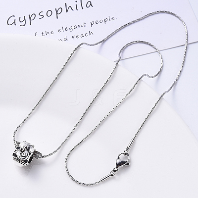 Non-Tarnish 304 Stainless Steel Boston Link Chain Necklace NJEW-S420-005B-P-1