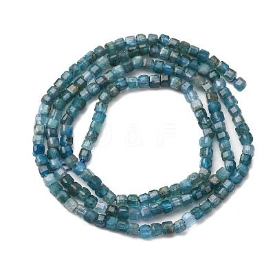 Natural Apatite Beads Strands G-C196-B01-2x2mm-1