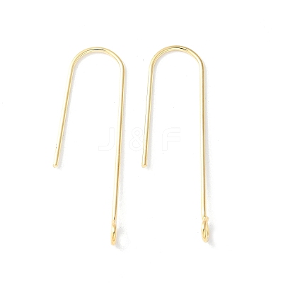316 Surgical Stainless Steel Earring Hooks STAS-Z124-02D-G-1