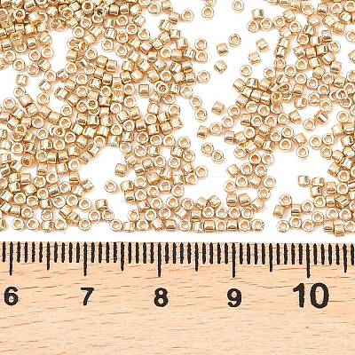 MIYUKI Delica Beads SEED-X0054-DB2501-1