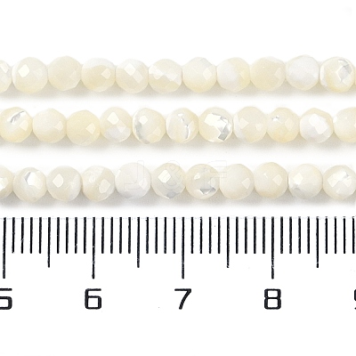 Shell Beads Strands SSHEL-E571-38-4mm-1