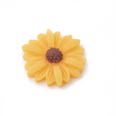 Resin Cabochons CRES-N007-10F-1
