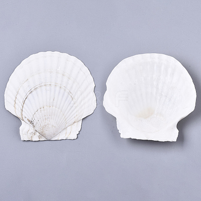 Natural Shell Beads SSHEL-S258-72-1