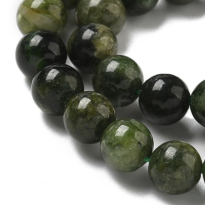Natural Green Diopside Beads Strands G-K382-B01-01-1