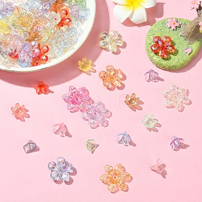 Transparent Acrylic Bead Caps TACR-YW0002-39-1