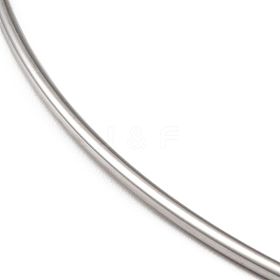 Non-Tarnish 304 Stainless Steel Necklaces NJEW-F312-01P-1