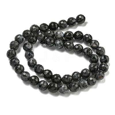 Natural Larvikite Beads Strands G-E571-A09-02-1