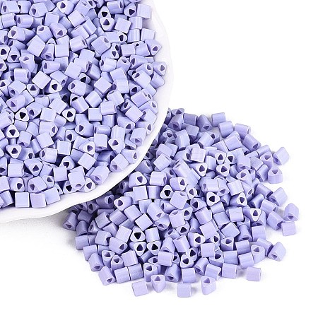 FGB Baking Paint Glass Seed Beads SEED-Q040-09A-15-1