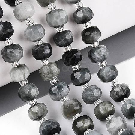 Natural Eagle Eye Stone Beads Strands G-T144-A01-03-1