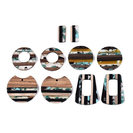 10Pcs 5 Styles Transparent Resin & Walnut Wood Pendants RESI-N053-08-1