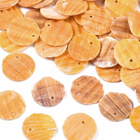 Natural Scallop Shell Beads BSHE-S122-1