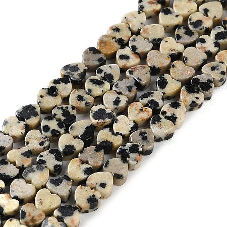 Natural Dalmatian Jasper Beads Strands G-M403-A31-01-1