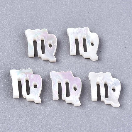 Natural White Shell Beads LS-SSHEL-ZX004-02A-1