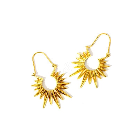 Sunflower Stainless Steel Hoop Earrings for Women ZH6768-2-1