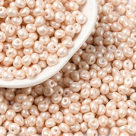 6/0 Glass Seed Beads SEED-L011-08A-24-1