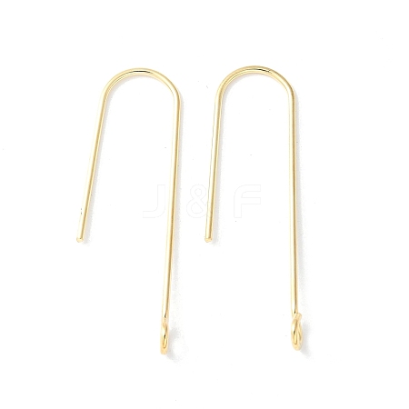 316 Surgical Stainless Steel Earring Hooks STAS-Z124-02D-G-1