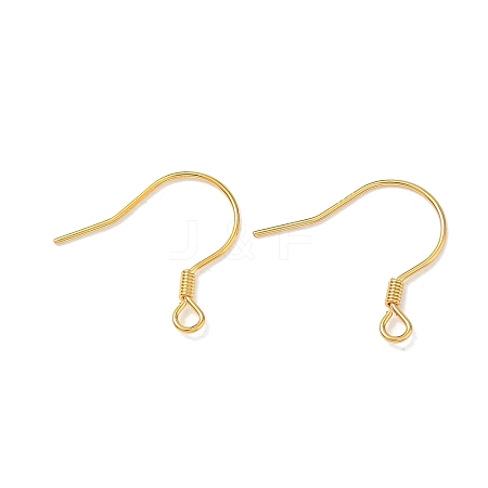 925 Sterling Silver French Hooks with Coil STER-T007-119G-1