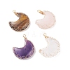 Natural Gemstone Pendants PALLOY-JF01421-1