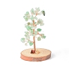 Natural Green Aventurine Chips with Brass Wrapped Wire Money Tree on Wood Base Display Decorations DJEW-B007-05D-1