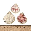 Brass & Natural Shell Pendants SH-CBA27C9-10-3
