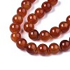 Natural Carnelian Beads Strands G-S259-32-12mm-3