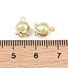 Alloy Charms AL-CBA43BE-19B-G-3