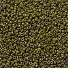 MIYUKI Round Rocailles Beads SEED-G010-RR4519-3