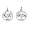 304 Stainless Steel Pendants STAS-T046-JA350-1A-P-3