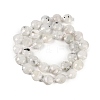 Natural Rainbow Moonstone Beads Strands G-B094-A06-01-4