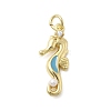 Brass Micro Pave Cubic Zirconia Pendants KK-A278-04G-02-1