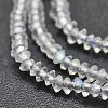 Natural Labradorite Beads Strands G-F686-17-3