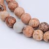 Natural Picture Jasper Beads Strands G-Q462-4mm-35-1