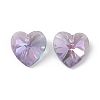 Transparent Faceted Glass Charms RGLA-L026-B14-2