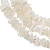 Natural White Moonstone Beads Strands GG-CBA3A44-B03-01-3