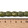 Painted Glass Beads Strands GLAA-Z021-20B-3