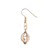 Crystal Rhinestone Dangle Earrings EJEW-BB72421-A-3