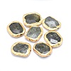 Natural Labradorite Beads G-P380-07G-1