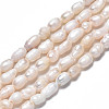 Natural Cultured Freshwater Pearl Beads Strands PEAR-N012-03C-3