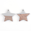 Resin & Walnut Wood Pendants RESI-T023-23A-2