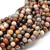 Natural Polychrome Agate Round Bead Strands G-P075-28-8mm-1