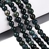 Natural Moss Agate Beads Strands G-Q606-42A-01-1
